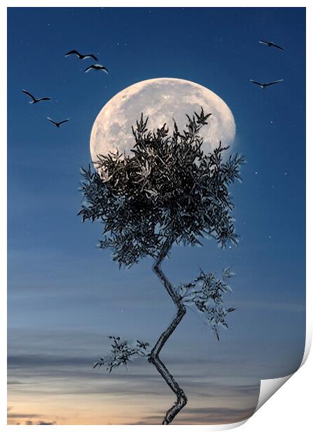 fly me to the moon Print by kathy white