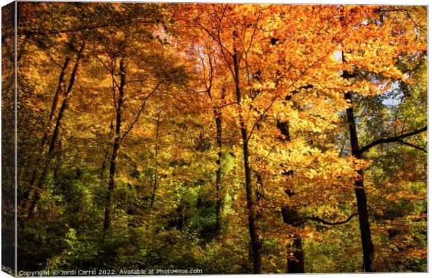 Autumn ocher colors in the forest - Orton glow Edition  Canvas Print by Jordi Carrio