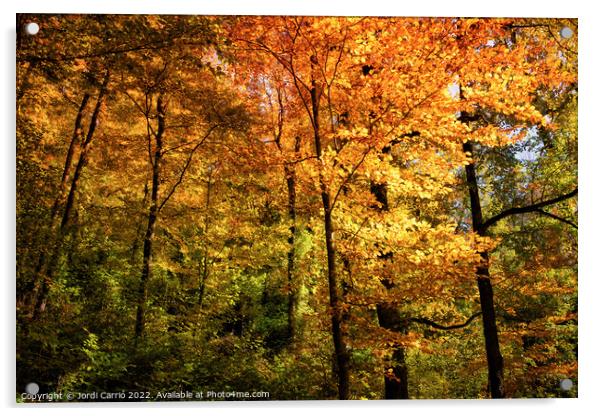 Autumn ocher colors in the forest - Orton glow Edition  Acrylic by Jordi Carrio