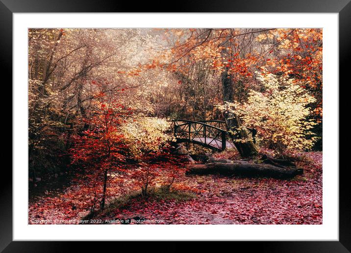 Autumn Bridge Framed Mounted Print by richard sayer