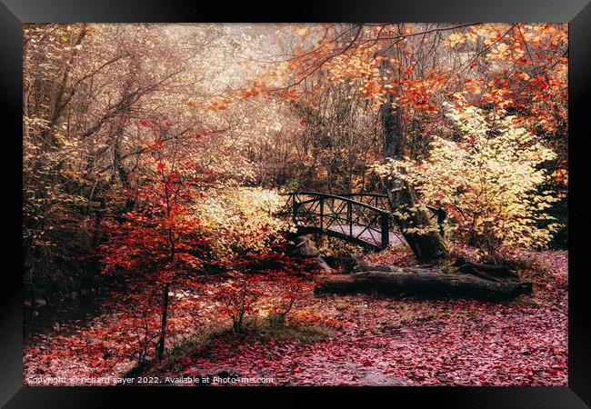 Autumn Bridge Framed Print by richard sayer