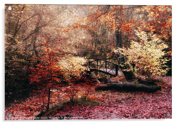 Autumn Bridge Acrylic by richard sayer