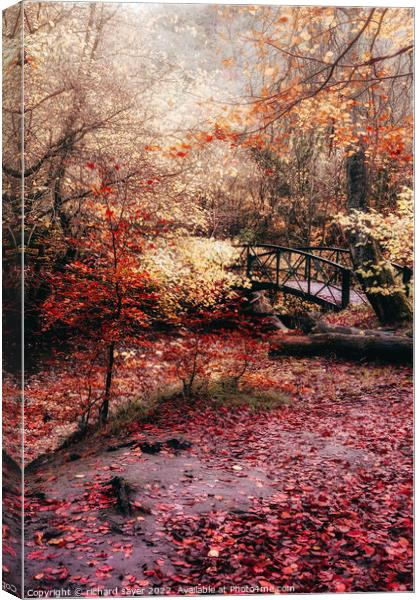 Enchanting Autumn Bridge Canvas Print by richard sayer