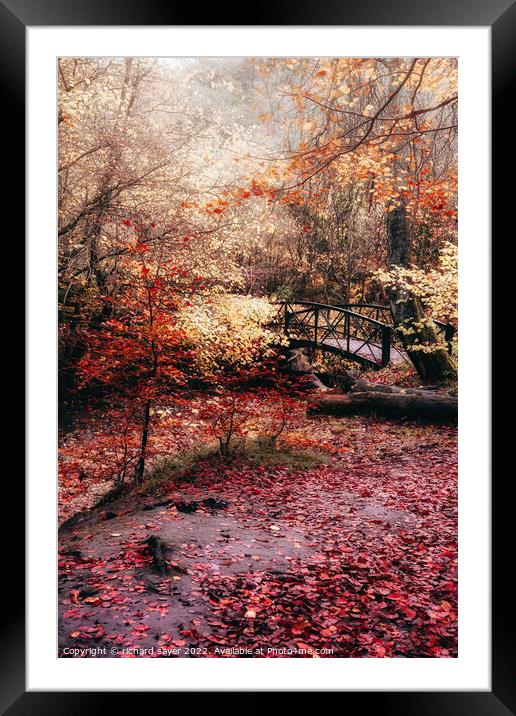Enchanting Autumn Bridge Framed Mounted Print by richard sayer