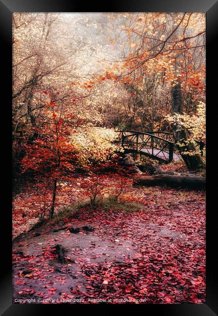 Enchanting Autumn Bridge Framed Print by richard sayer