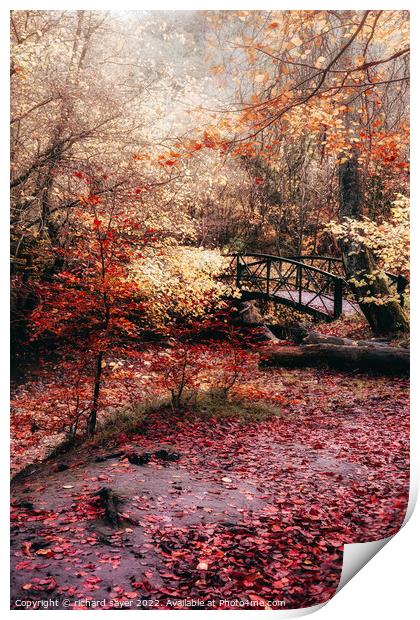 Enchanting Autumn Bridge Print by richard sayer