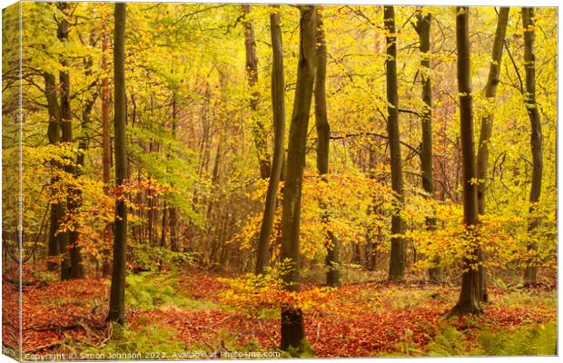 Autumn woodland hire Canvas Print by Simon Johnson