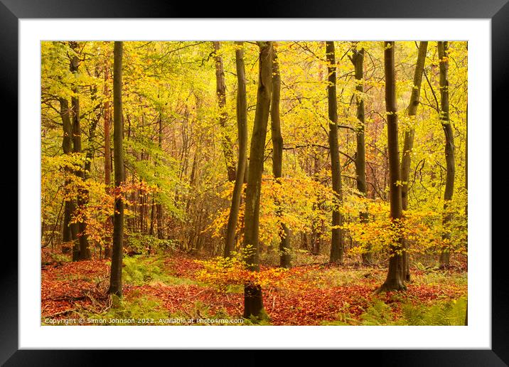 Autumn woodland hire Framed Mounted Print by Simon Johnson