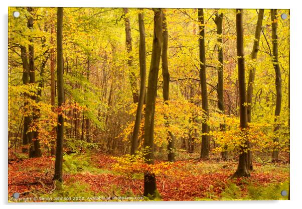 Autumn woodland hire Acrylic by Simon Johnson