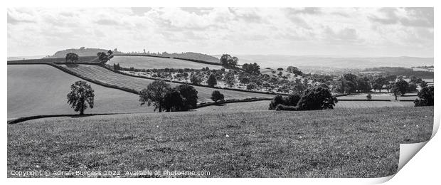 Orchard Overlooking Ellerhayes, Devon Print by Adrian Burgess