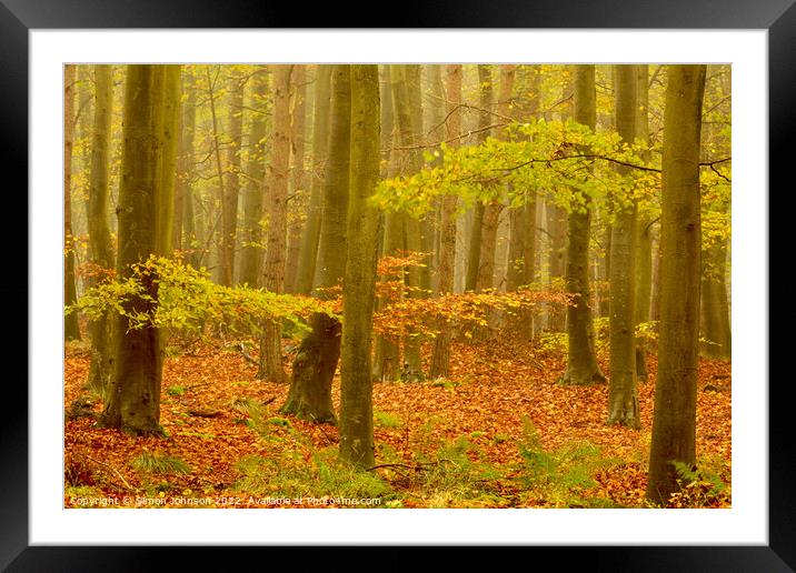 Misty autumn woodland Framed Mounted Print by Simon Johnson