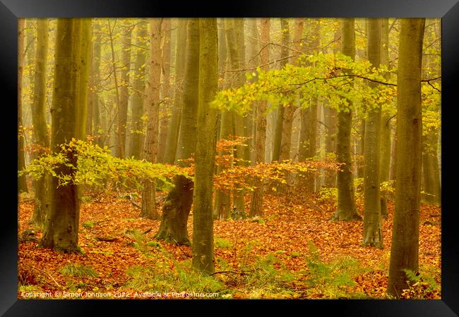 Misty autumn woodland Framed Print by Simon Johnson