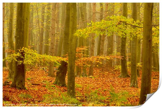 Misty autumn woodland Print by Simon Johnson