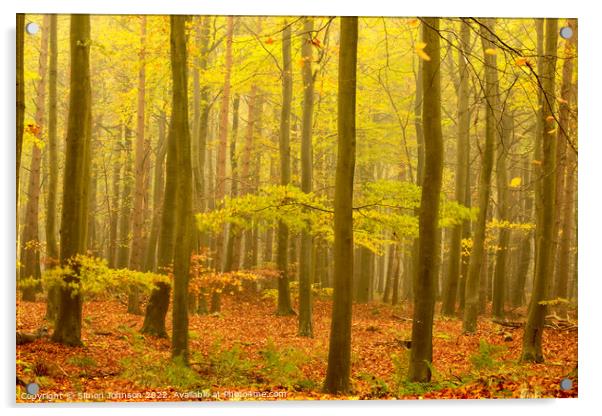 Misty autumn woodland Acrylic by Simon Johnson