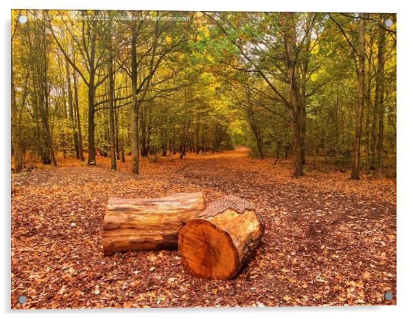 Thames Chase Woodland Acrylic by Peter Barrett