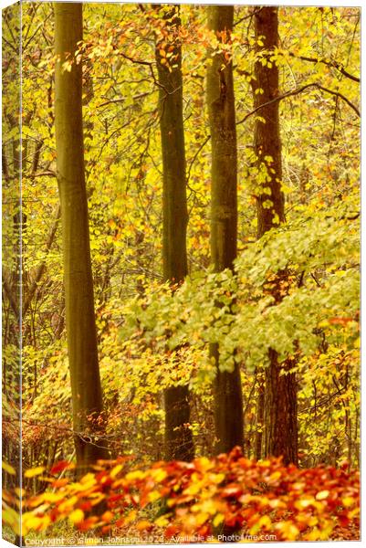  Autumn woodland  Canvas Print by Simon Johnson