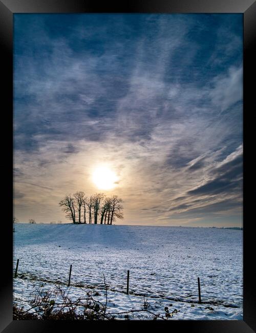Tree Copse in Winter Framed Print by Photimageon UK
