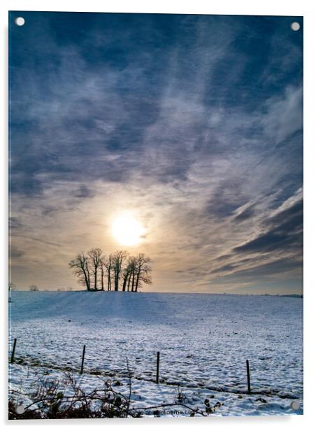 Tree Copse in Winter Acrylic by Photimageon UK