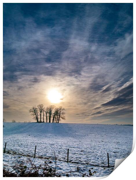 Tree Copse in Winter Print by Photimageon UK