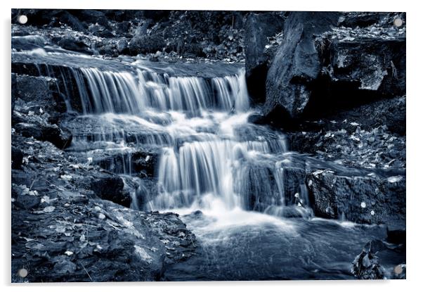 Lumsdale Falls Acrylic by Darren Galpin