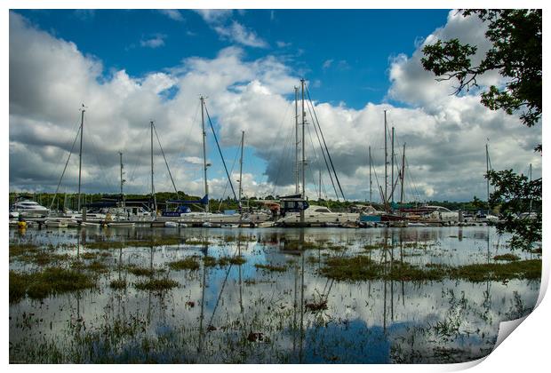 River Beaulieu... Busy as always.. Print by Elzbieta Sosnowski