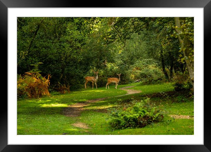 Sorry, but this is our Home... Framed Mounted Print by Elzbieta Sosnowski