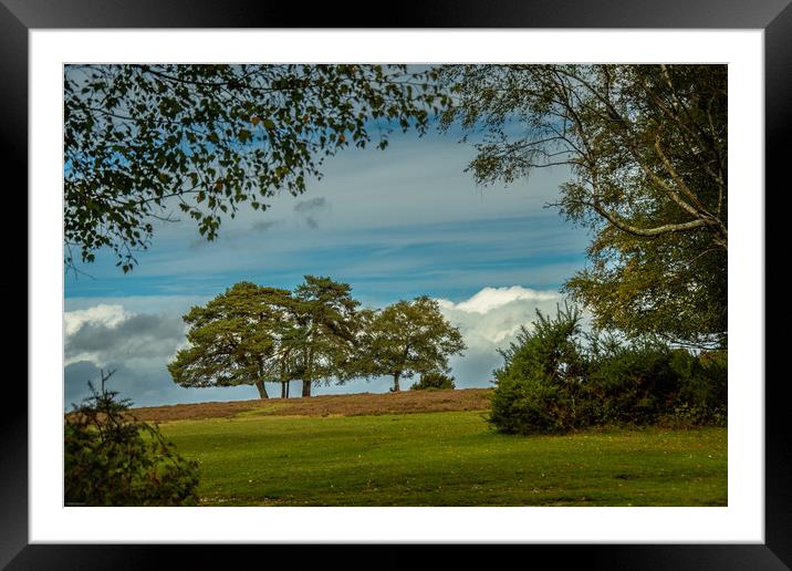 Autumn walk... Framed Mounted Print by Elzbieta Sosnowski