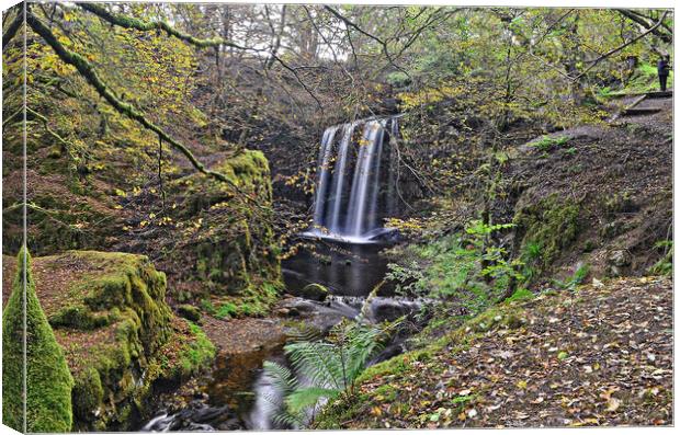 East Ayrshire waterfall at Dalcairney Canvas Print by Allan Durward Photography