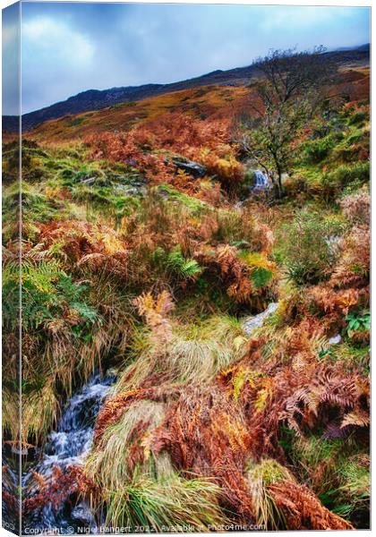 Snowdonia Waterfall Canvas Print by Nigel Bangert