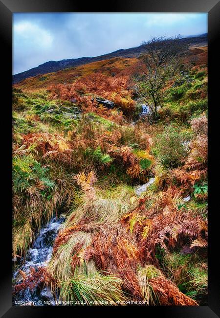 Snowdonia Waterfall Framed Print by Nigel Bangert