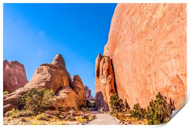 Canyon Walls Devils Garden Arches National Park Moab Utah Print by William Perry