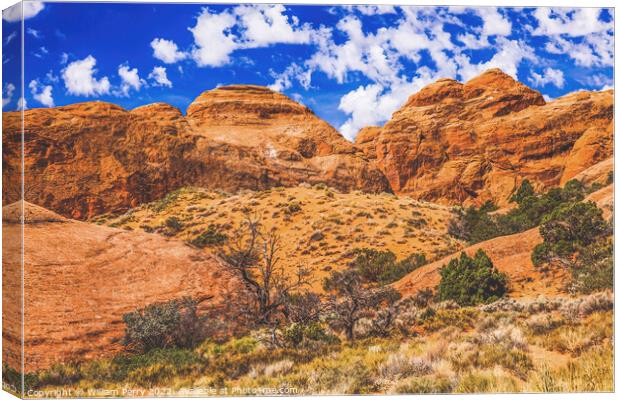 Rock Canyon Devils Garden Arches National Park Moab Utah  Canvas Print by William Perry