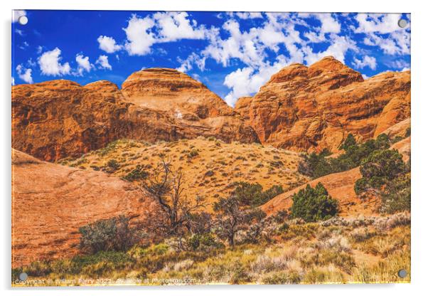 Rock Canyon Devils Garden Arches National Park Moab Utah  Acrylic by William Perry