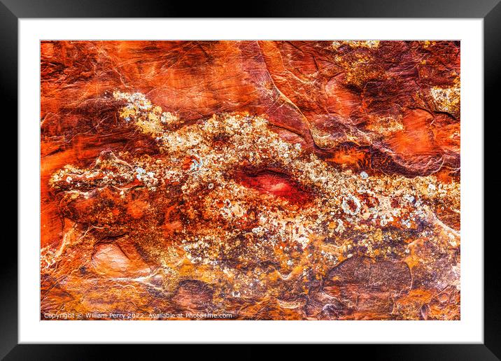 Rock Canyon Dragon Abstract Arches National Park Moab Utah Framed Mounted Print by William Perry