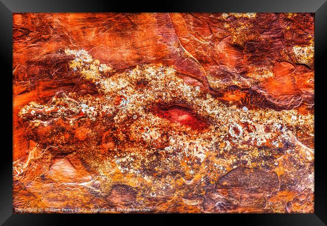 Rock Canyon Dragon Abstract Arches National Park Moab Utah Framed Print by William Perry