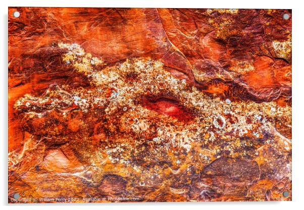 Rock Canyon Dragon Abstract Arches National Park Moab Utah Acrylic by William Perry