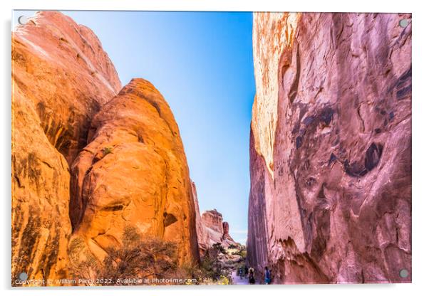 Canyon Walls Entrance Garden Arches National Park Moab Utah Acrylic by William Perry