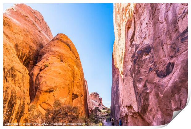 Canyon Walls Entrance Garden Arches National Park Moab Utah Print by William Perry