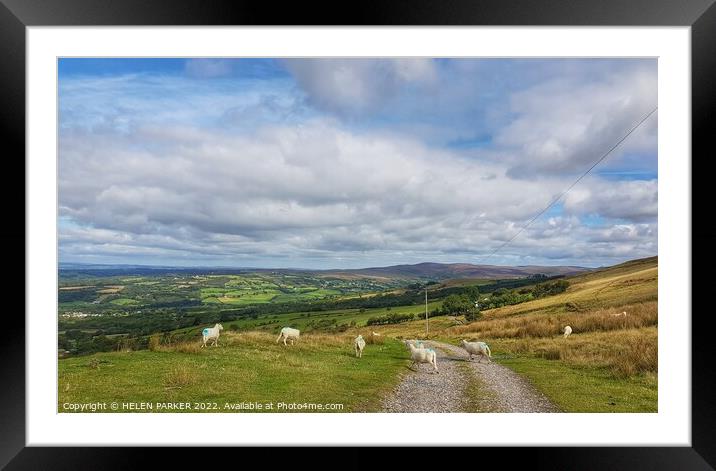 Betws Mountain sheep Framed Mounted Print by HELEN PARKER