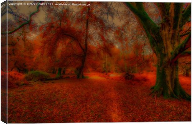 Enchanting Autumn Forest Canvas Print by Derek Daniel