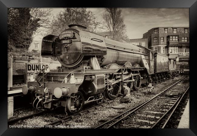 Scotsman at Swanage Framed Print by Rob Hawkins
