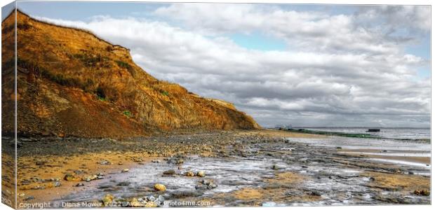 The Naze beach at low tide Canvas Print by Diana Mower
