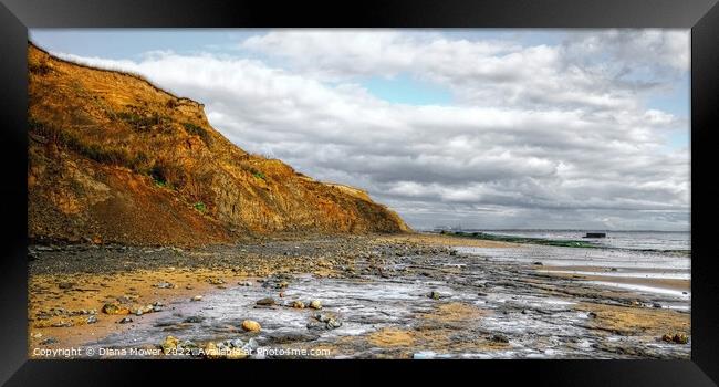 The Naze beach at low tide Framed Print by Diana Mower