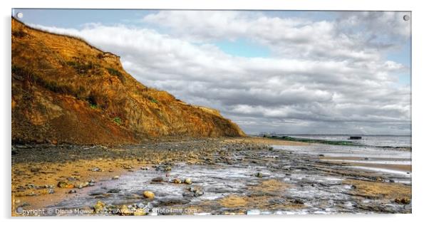 The Naze beach at low tide Acrylic by Diana Mower