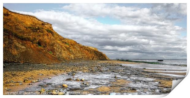 The Naze beach at low tide Print by Diana Mower