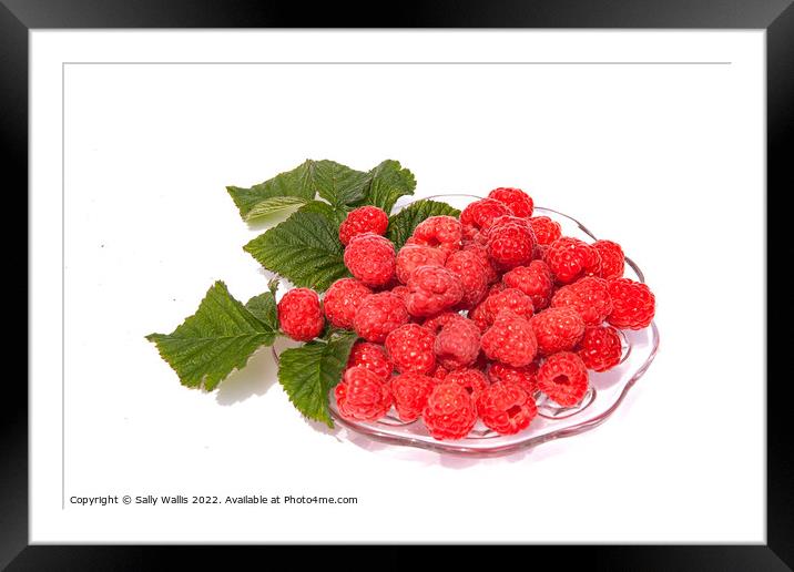 Fresh raspberries on a glass dish Framed Mounted Print by Sally Wallis