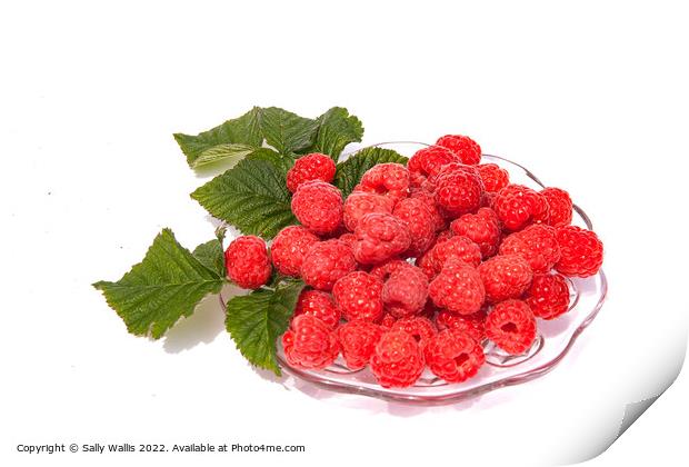 Fresh raspberries on a glass dish Print by Sally Wallis