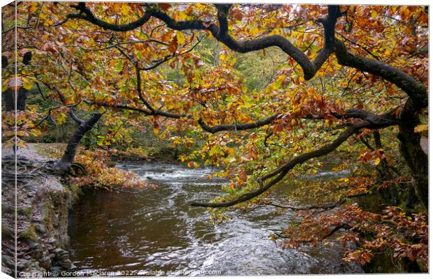 Autumn on the Afon Pyrddin, Pontneddfechan Canvas Print by Gordon Maclaren