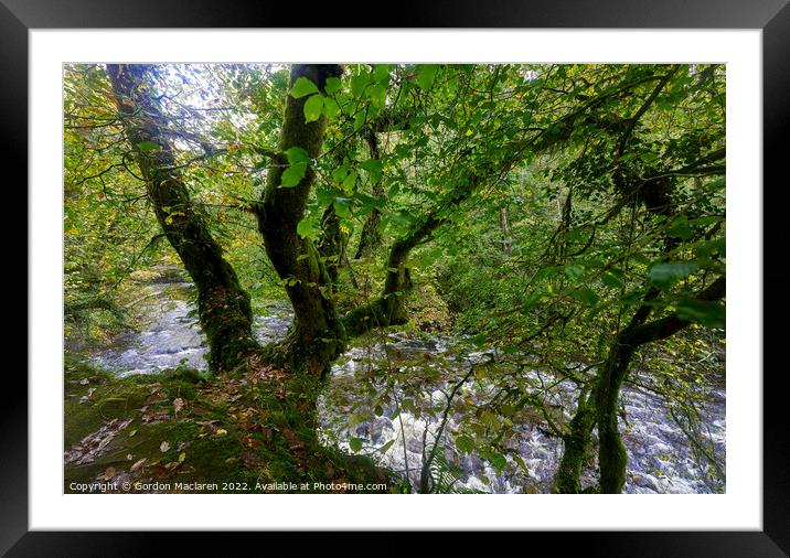 Autumn on the Afon Pyrddin, Pontneddfechan  Framed Mounted Print by Gordon Maclaren