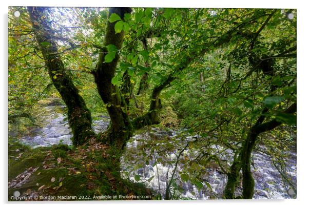 Autumn on the Afon Pyrddin, Pontneddfechan  Acrylic by Gordon Maclaren